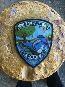 Town of Baldwin Image