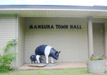 Mansura Police Department Image